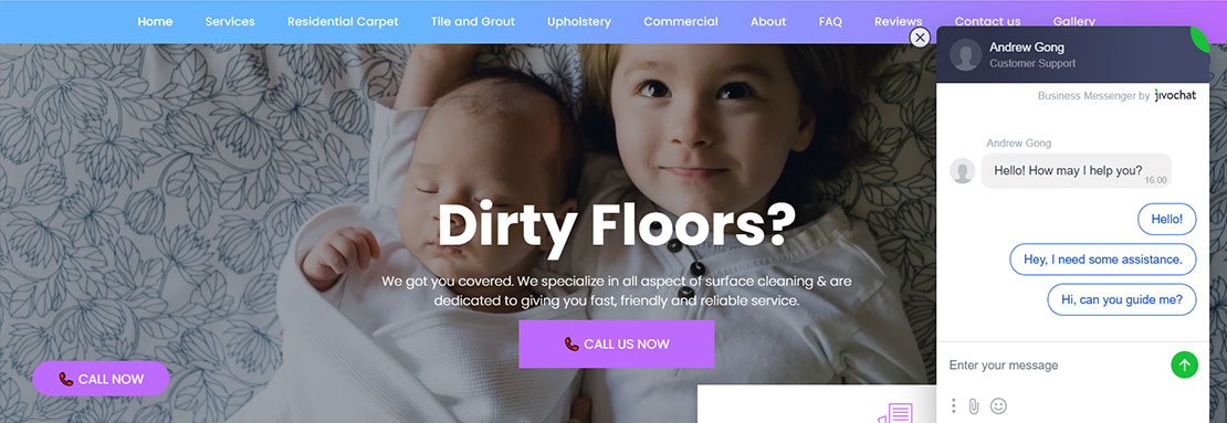 Carpet cleaners_image